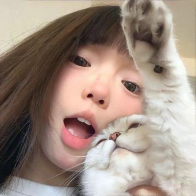 猫侍 第二季